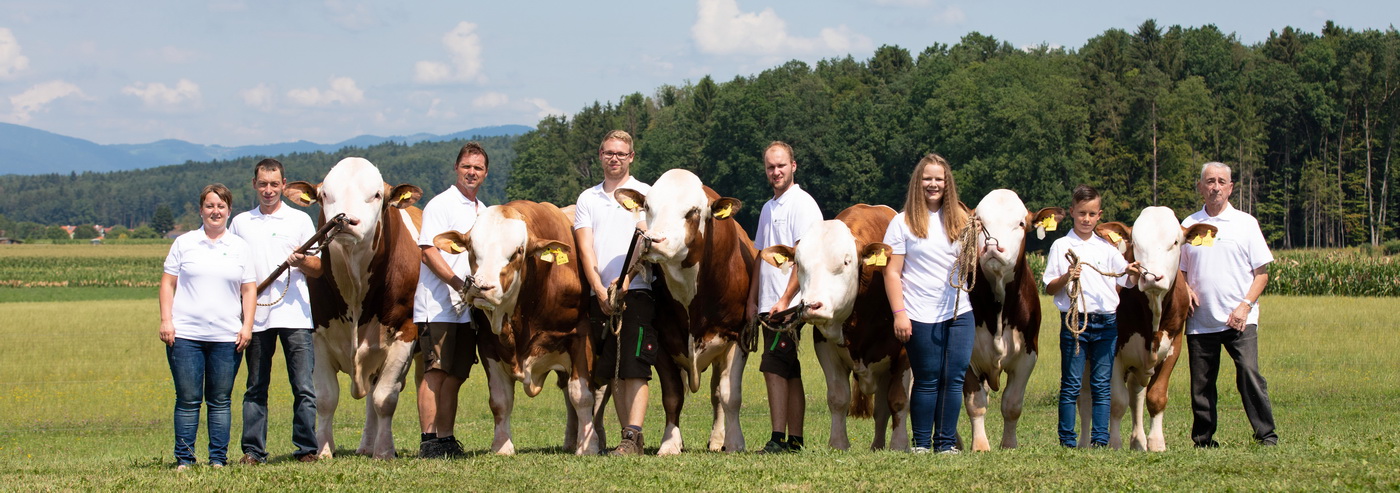 v. l. Regina und Engelbert mit GS WERTVOLL, Stierwärter mit GS ER WILL, GS VAIL, GS EHRSAM, Kerstin mit GS MURTAL Pp; Andreas mit GS WAY und Engelbert sen.