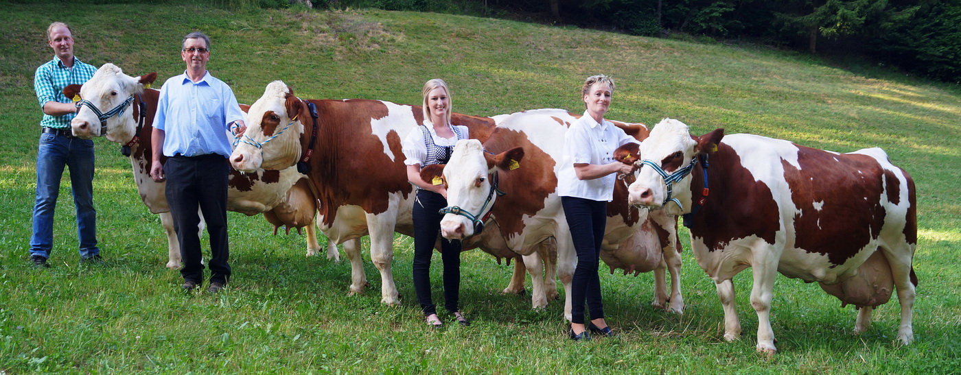 HELENE, Rumen x Higgins; ANABELL , Turier Red x Rumba; BAMBI, Jordan Red x Mandl; HELMA, Roibos x Higgins, Z.u.B. aller vier Kühe: Sieglinde u. Franz Sackl, Scheifling, Stmk.