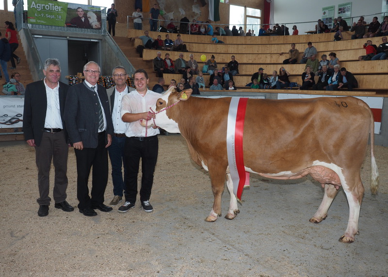 ASTI (V.: Passion) Gruppensiegerin Kühe mit 3 Abkalbungen und Gesamtsieg – Rindfleischkirtag 2018 5/4-8.499-4,09-3,67-659