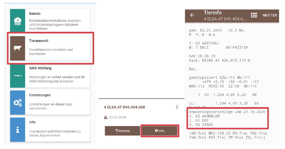 GS AIO-Anpaarungsvorschläge im LKV-APP: Wählen Sie in der Tierauswahl ein Tier und gehen Sie auf Info.