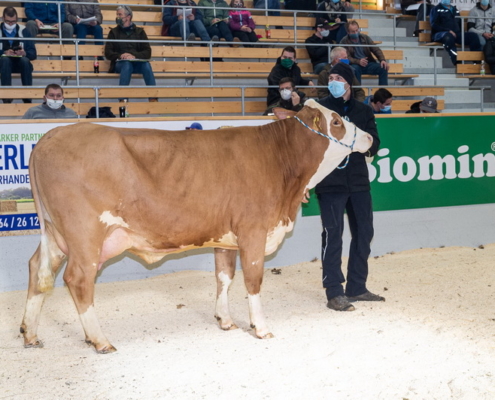 WORLDCUP-Tochter vom Betrieb Eichberger, St. Margarethen