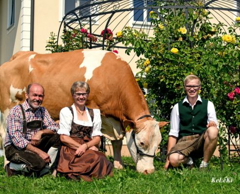 IRMI, Weinold x Honer, B.: Fam. Hörmandinger, Peuerbach, OÖ-FIH