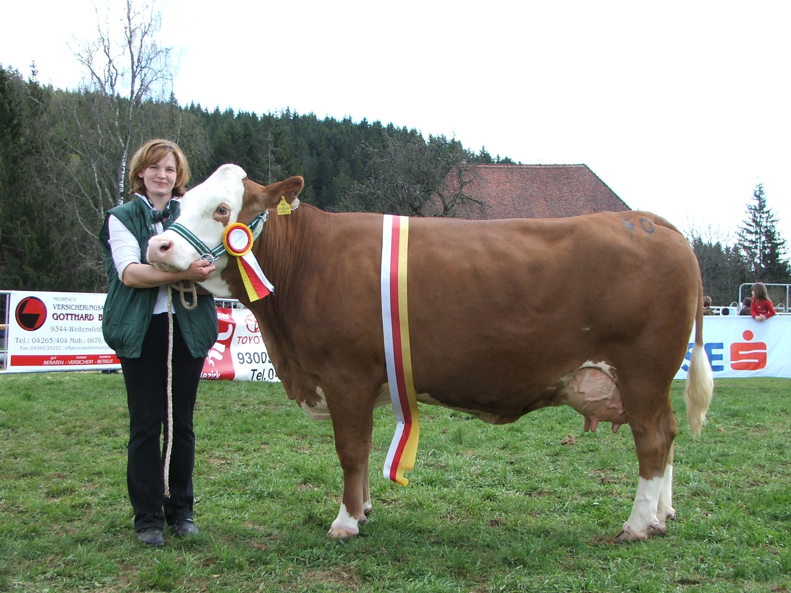 LOMENA (V.: Zetor), Gesamtsiegerin der Gebietsrinderschau Gurktal 2005; 7/6 6.956-4,08-3,74-544, HL. 4. 8.402-3,53-3,66-605