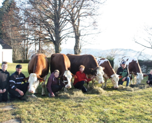 Familie Grabenbauer aus Ratten in der Steiermark mit ihren fünf 100.000-kg-Kühen; v.l.n.r.: HACKE, SALI, HELEN, JOLANDA und ZIRBE