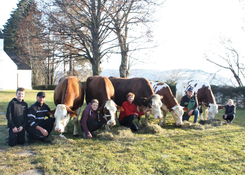 Familie Grabenbauer aus Ratten in der Steiermark mit ihren fünf 100.000-kg-Kühen; v.l.n.r.: HACKE, SALI, HELEN, JOLANDA und ZIRBE