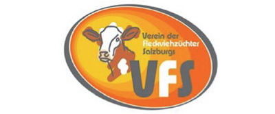 Logo VFS