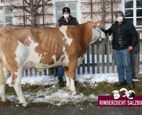 ZV Maishofern 21.01.2021 EPINAL-Tochter von Toferer, Schornlehen, Großarl