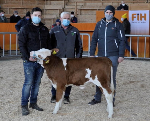 ZV Ried 19.01.2021 VALTRA x MEDICUS-Kalb vom Betrieb Ranftl aus Weng