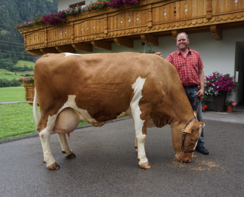 TULPE, Wassermann x Humid, B.: Franz Resinger, Matrei i. O., Tirol, Foto: privat