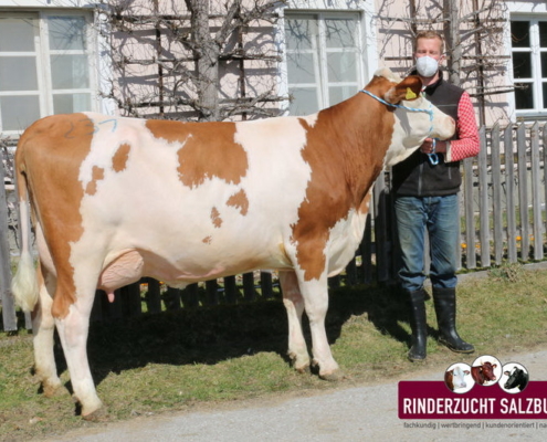 ZV Maishofen 25.03.2021 WABAN-Tochter von Salzmann, Unterdilling, Maishofen