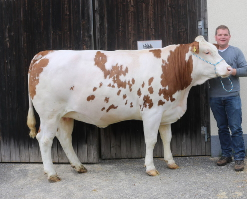 ZV St. Donat 20.04.2021 GS DER BESTE-Tochter