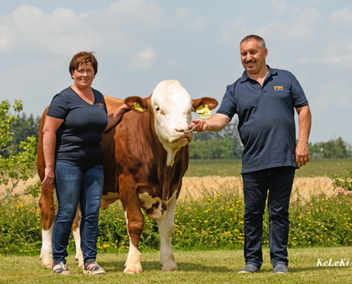 Familie Günzinger aus St. Georgen bei Obernberg, Oberösterreich betreibt Fleckviehzucht auf höchstem Niveau