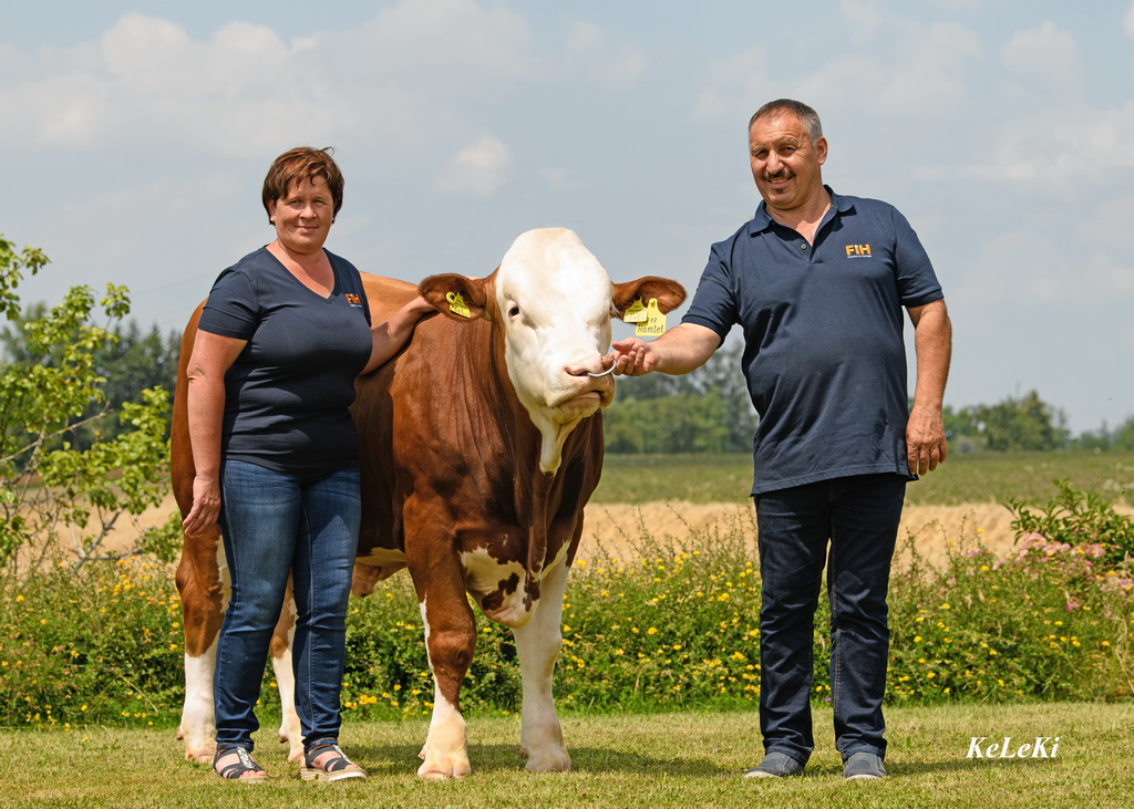 Familie Günzinger aus St. Georgen bei Obernberg, Oberösterreich betreibt Fleckviehzucht auf höchstem Niveau