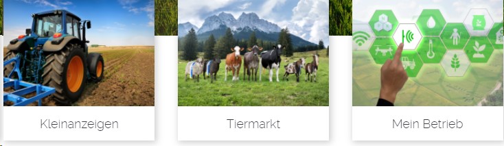 Almmarkt - Onlineversteigerung für Rinder