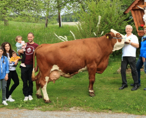 ZIERDE, GS Rau x Romel, Fam. Schweighofer, Pöllau, Stmk., Foto privat