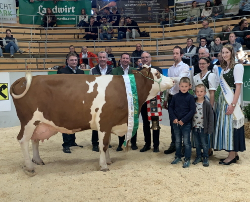 Seniorchampion: Kat.Nr. 90, ROSE, Manuap x Wille, von Sommersguter Rosa-Maria und Bruno, Wenigzell