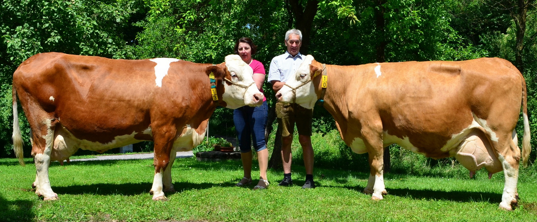 ELODIE (li), Winfried x Paris, EVAMARIE (re), Ruakana x Rumba, B.: Fam. Eibelhuber, Taufkirchen/Trattnach, OÖ-FIH, Foto: privat