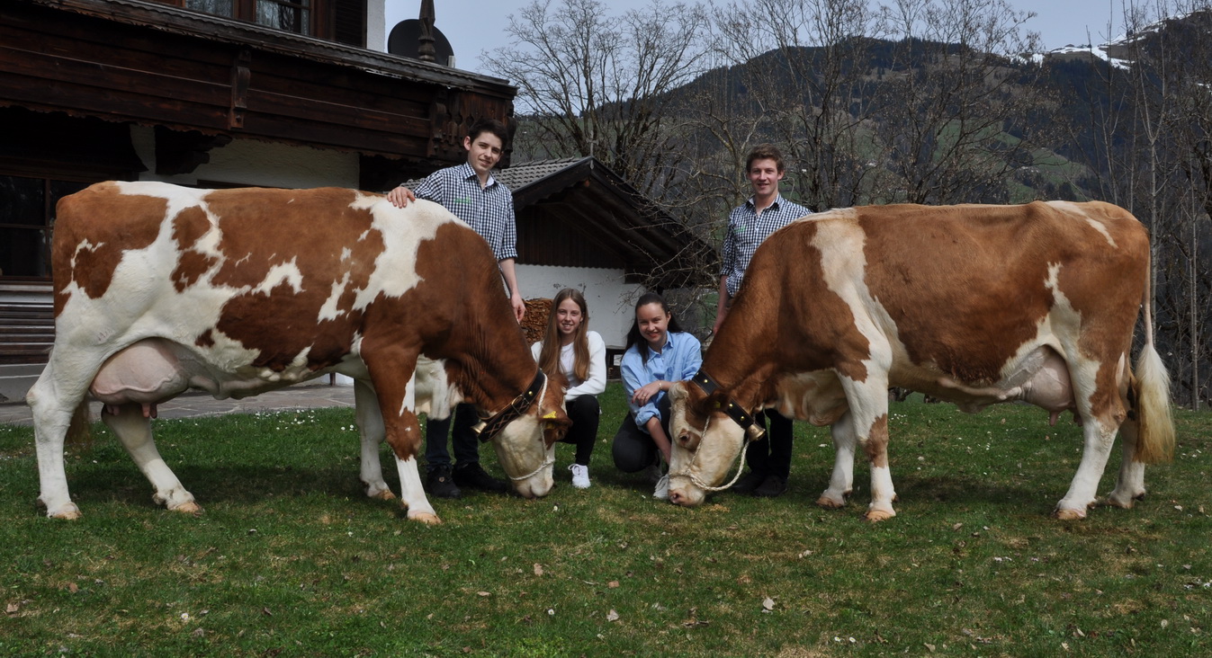 LOISI, Vanstein x Horbi, und RENATE, Ress x Weinold, von Josef Misslinger, Hopfgarten, Tirol, Foto privat