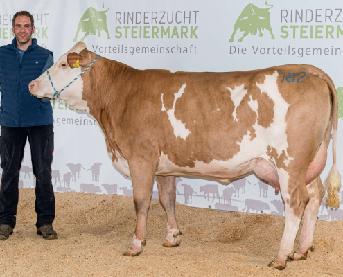 ZV Traboch 05.05.2022 Kat. 182 HERMELIN-Tochter LAVEGAS vom Betrieb Eichberger