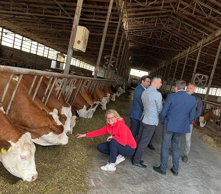 Dr. Simone Steiner freut sich über den guten Gesundheits- und Ernährungszustand der Fleckviehtiere aus Österreich, die in Aserbaidschan einen wertvollen Beitrag zum nachhaltigen Aufbau der Eigenversorgung von Milch und Fleisch leisten.