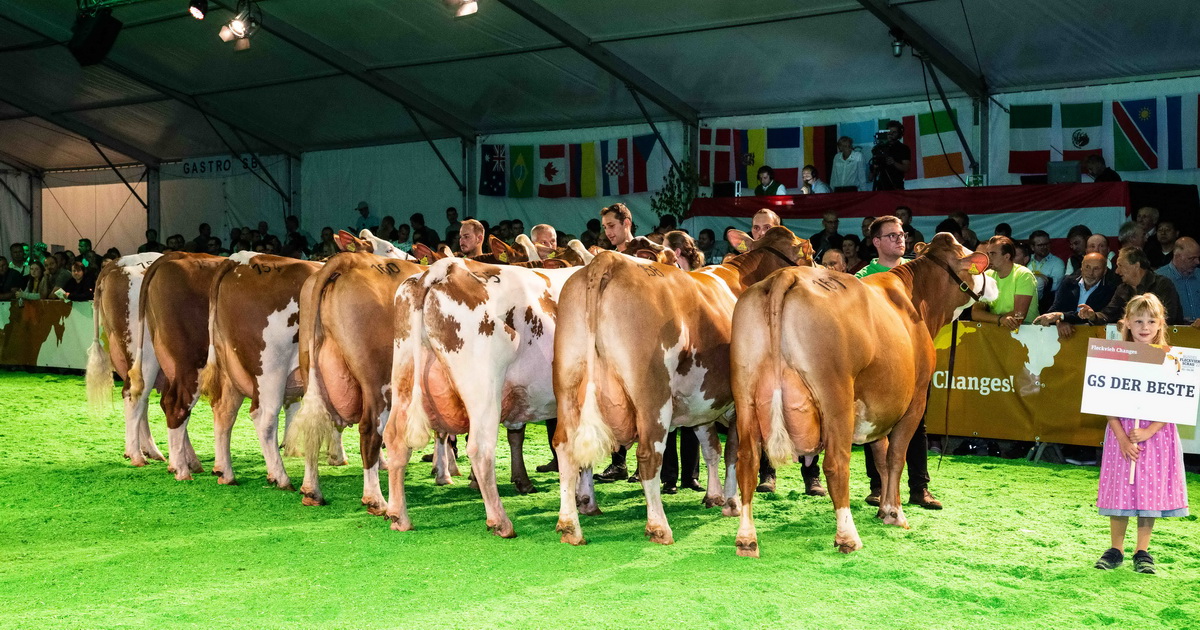 GS DER BESTE Nachzuchtgruppe, Foto: Fritz Baumann