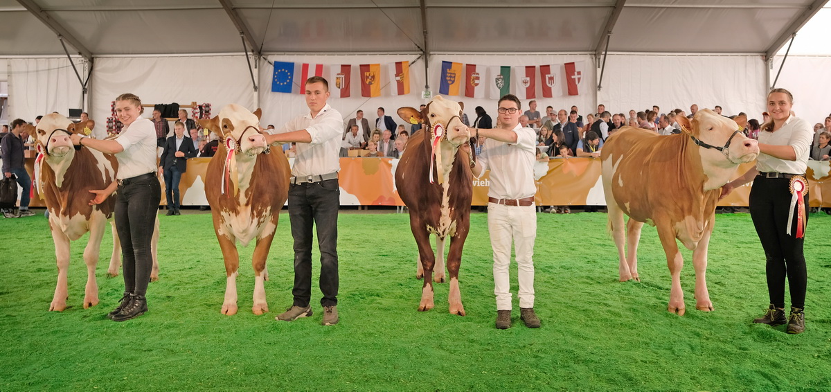 V. li.: Michaela Kitzberger mit Typsiegerin der Gr. 2 GLUECKSKEKS (RZO); Tobias Steiner mit Typsiegerin der Gr. 1 RILLI (NÖ.Gen.), Vorführsieger Gr. 1 Matthias Ratzberger mit ANORE Pp* (NÖ. Gen.) und Vorführsiegerin Gr. 1 Theresa Schoner mit NORWAY (RZT); Foto: Josef Berchtold