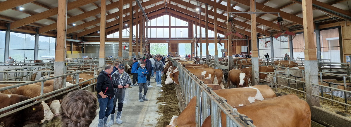 Die Fachexkursion am Mittwochnachmittag führte zur LFS Pyhra und zur Perschlingtalmilch, Pyhra, Niederösterreich