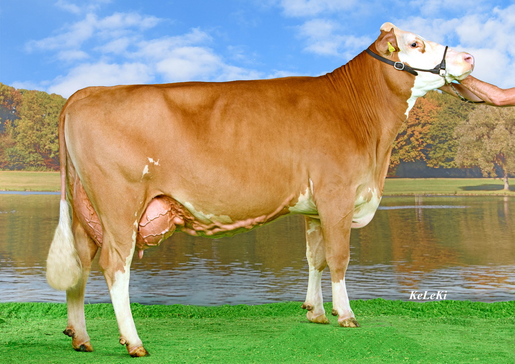 Siegerin Gr. 10 – Kühe mit 3 Abkalbungen (gek. 2.8.22 – 26.2.22): ENGADIN, Monumental x GS Pandora B: Grabenbauer Thomas, Fischbach, RSTM