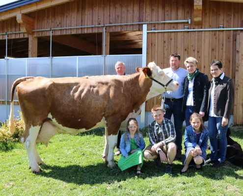 LORINA, Hades x Poldi, Simone und Johannes Jöbstl, St. Gertraud, Ktn., Foto Schöffmann