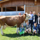 LORINA, Hades x Poldi, Simone und Johannes Jöbstl, St. Gertraud, Ktn., Foto Schöffmann