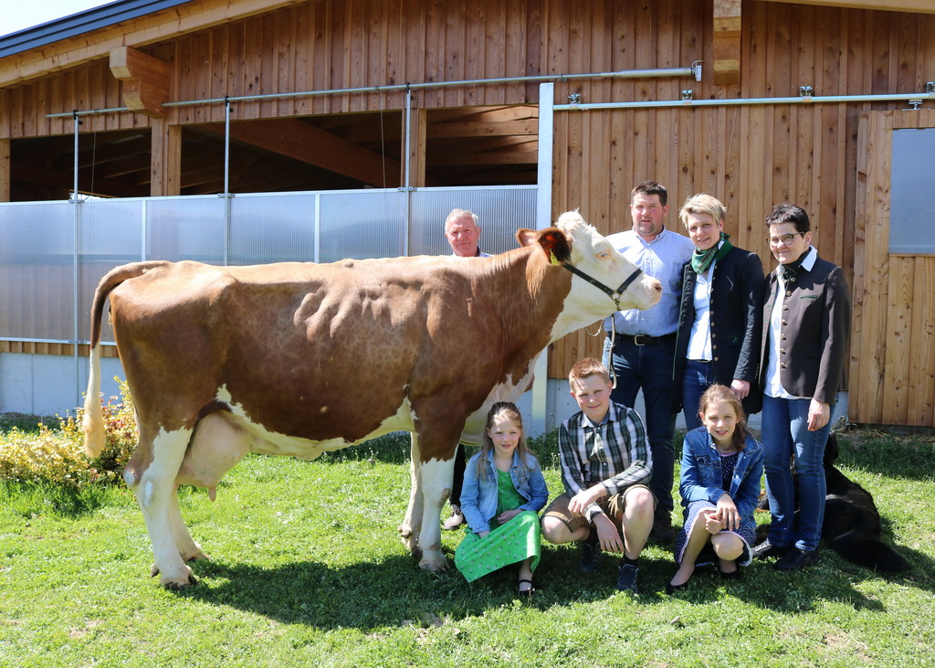 LORINA, Hades x Poldi, Simone und Johannes Jöbstl, St. Gertraud, Ktn., Foto Schöffmann