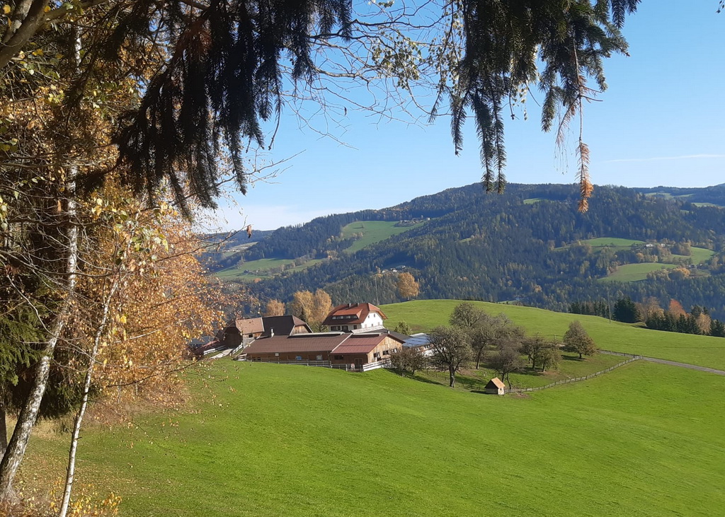 Der schön gelegene Hof der Fam. Jöbstl befindet sich im Osten Kärntens im Lavanttal