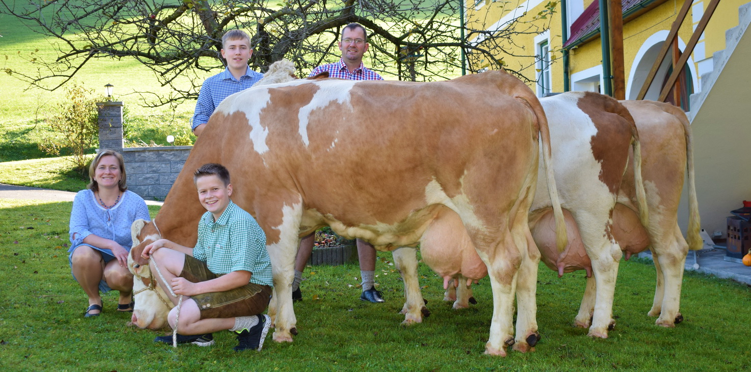 FABIOLA, GS Intermezz x GS Polari, MELITA, Horito x GS Reiner, DORA, GS Hochgall x Repteit, Martina u. Markus Hösl, Loich, NÖ, Foto Mitterböck