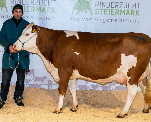 HAYABUSA-Tochter NICA vom Betrieb Pusterhofer, Rettenegg