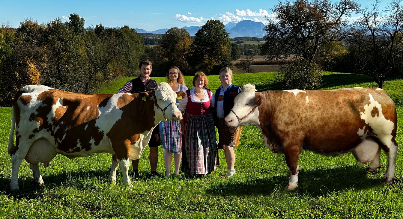 BEGGY, li., Ruakana x Lief, und RIKOLA, re., Roibos x Maldini, Gerhard u. Margit Pohn, ZellP., OÖ-RZV, Foto privat