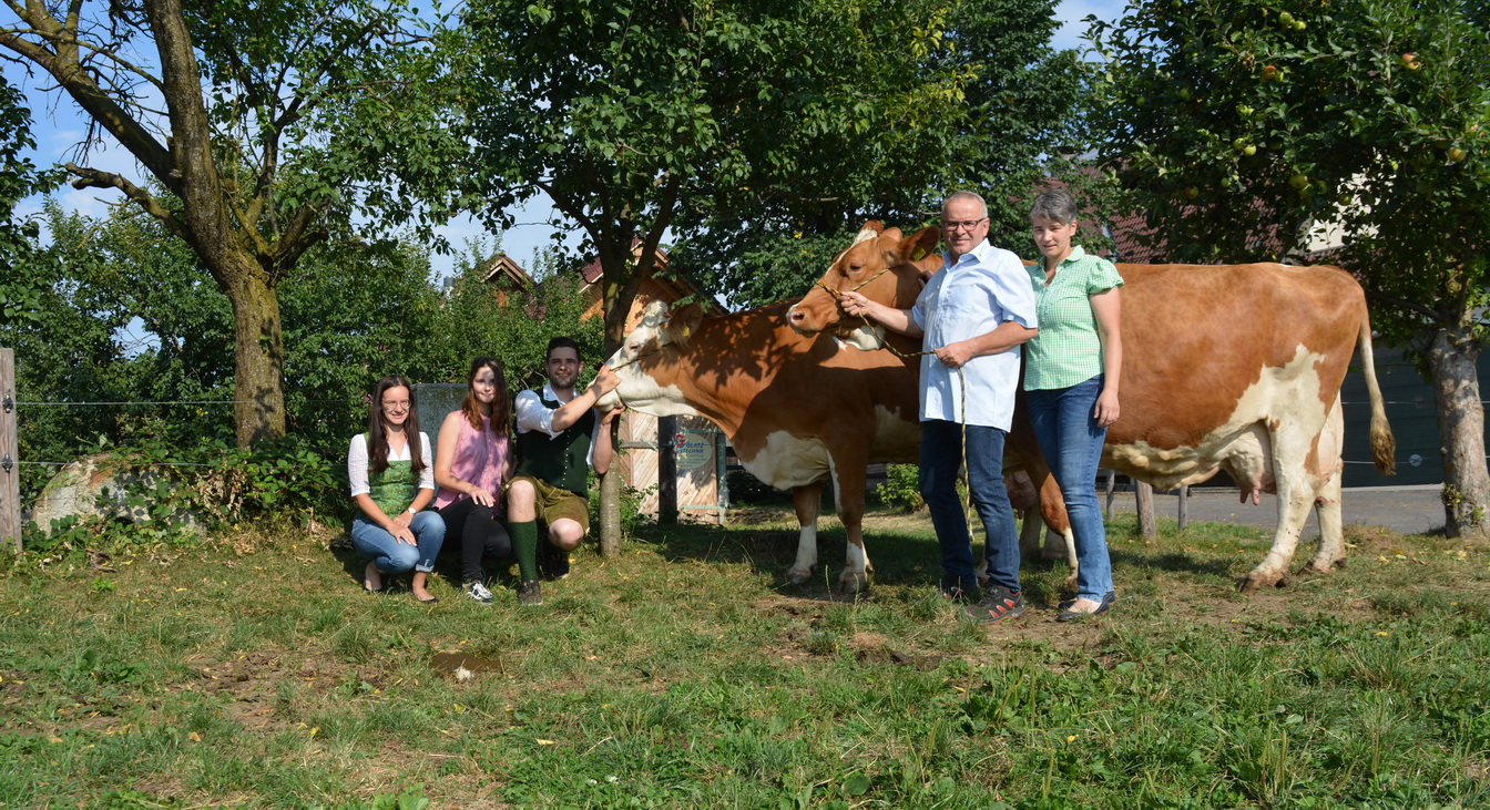 BLEAMLE, Joyboy Red x Rahorb, MELISSE, Manitoba x Sergio, Erika u. Martin Fischer, St. LorenzenW., Stmk., Foto Haas