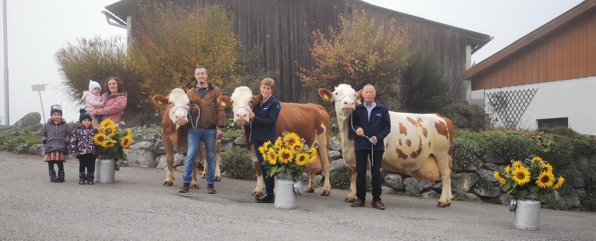 FANTA, GS Rau x GS Rehard, GUNDI, Rorb x GS Rehard, GISL, Raldi x GS Dionis, Maria Hametner, Artstetten-Pöbring, NÖ, Foto Wagner