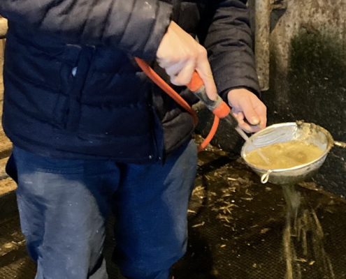 Das Kotsieben gibt einen Einblick in die Fütterung und Verdauung