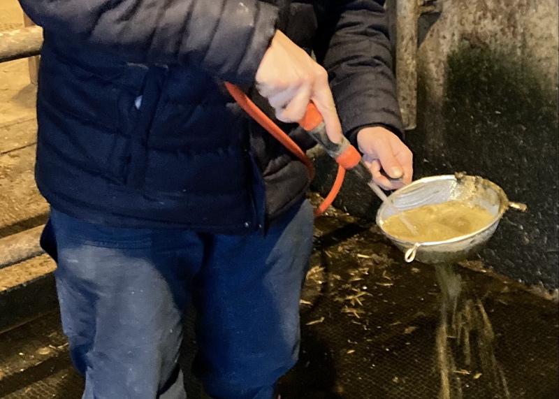 Das Kotsieben gibt einen Einblick in die Fütterung und Verdauung