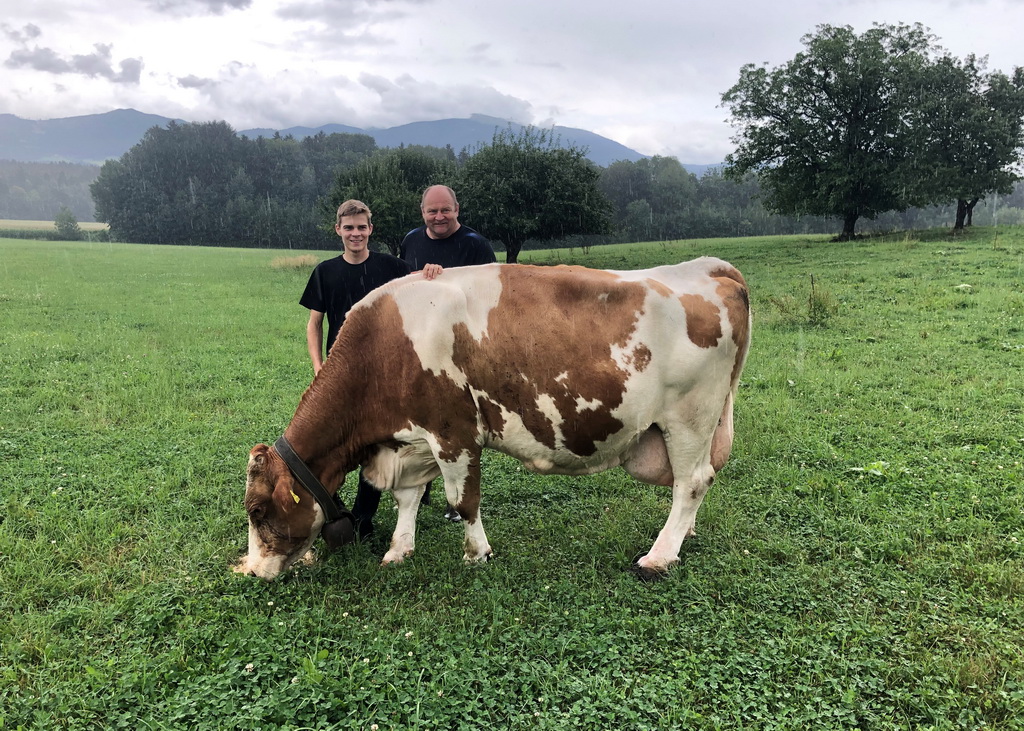 LORELEI überzeugte mit einer außergewöhnlichen Leistungsbereitschaft und ist Kärntens 1. FV-Kuh mit einer Lebensleistung über 200.000 kg Milch.