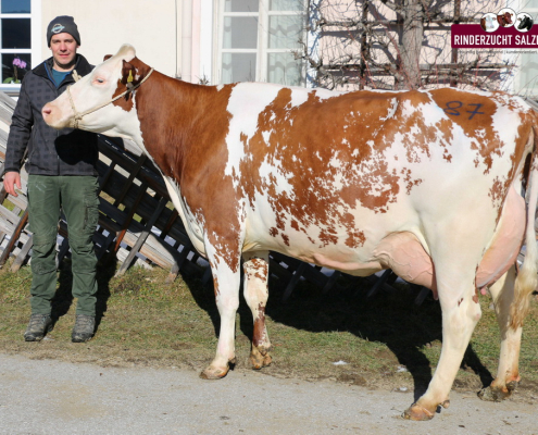 ZV Maishofen 09.02.2023 Kat.87 Ganitzer Anton, Andex, Großarl