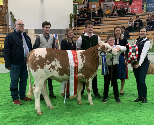 Vorführchampion Junior: Christian ratzberger, NÖ