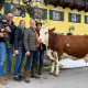 BIANKA, Nikos x Streib, Stefan Russegger, Hallein, Sbg., Foto Scheiber