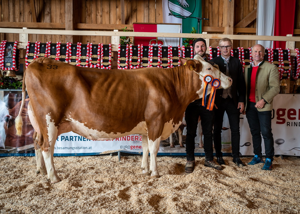 Siegerin Gruppe 4 u. Gesamtsiegerin der älteren Kühe: SEGEN (V: JANDA) von Brunauer Patrick, Adnet