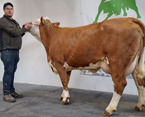 ZV Greinbach 13.04.2023 GS INSTAGRAM-Tochter HILLARY von der LFS Kirchberg am Walde