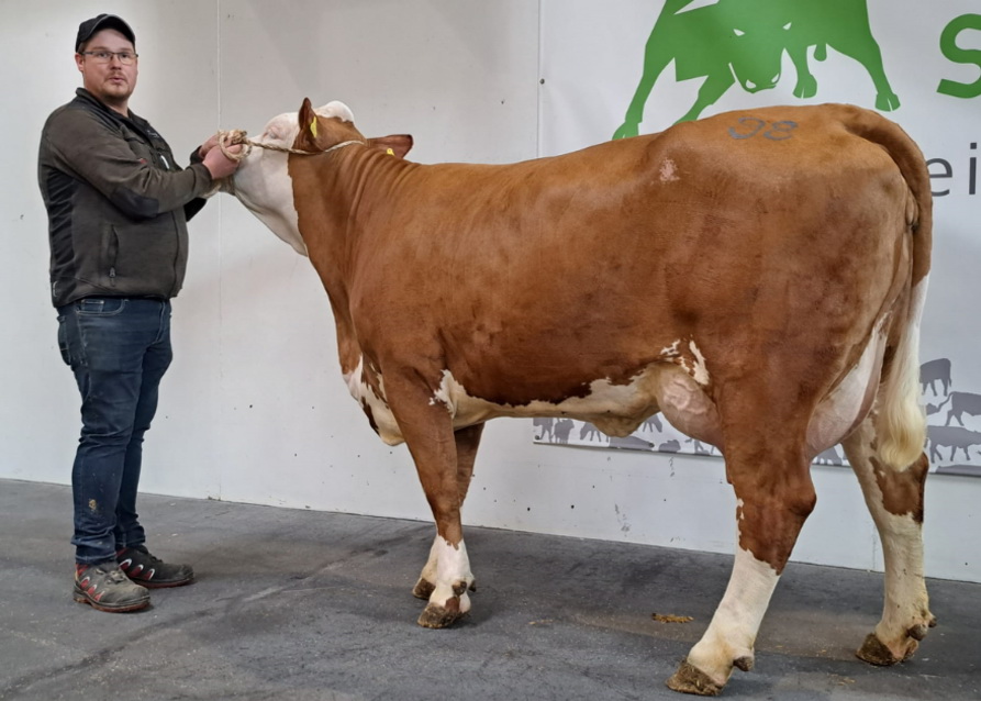 ZV Greinbach 13.04.2023 GS INSTAGRAM-Tochter HILLARY von der LFS Kirchberg am Walde