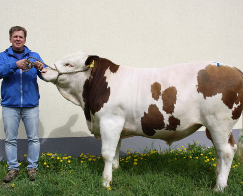 ZV St. Donat 18.04.2023: MAJESTIX-Sohn von Herwig Kofler