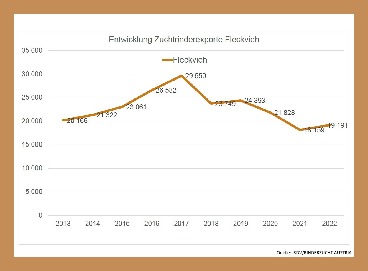 Entwicklung Zuchtrinderexporte Fleckvieh