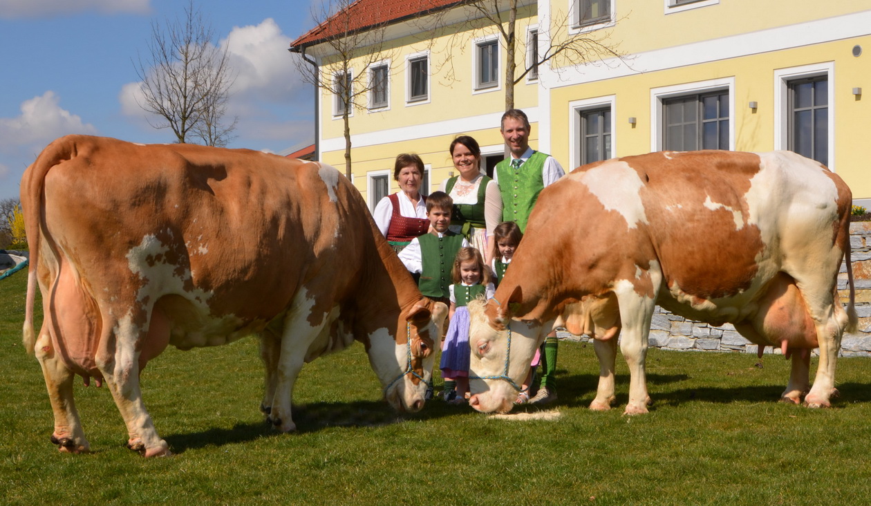 HOFBURG, GS Volontaer x GS Rau, und HOLARIE, GS Polari x GS Mark, Daniela und Bernhard Zehethofer, Winklarn, Niederösterreich, Foto Grabner