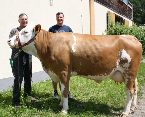 ZV St. Donat 13.06.2023: METTMACH-Tochter aus dem Zuchtbetrieb Dullnig Friedrich, Kremsbrücke